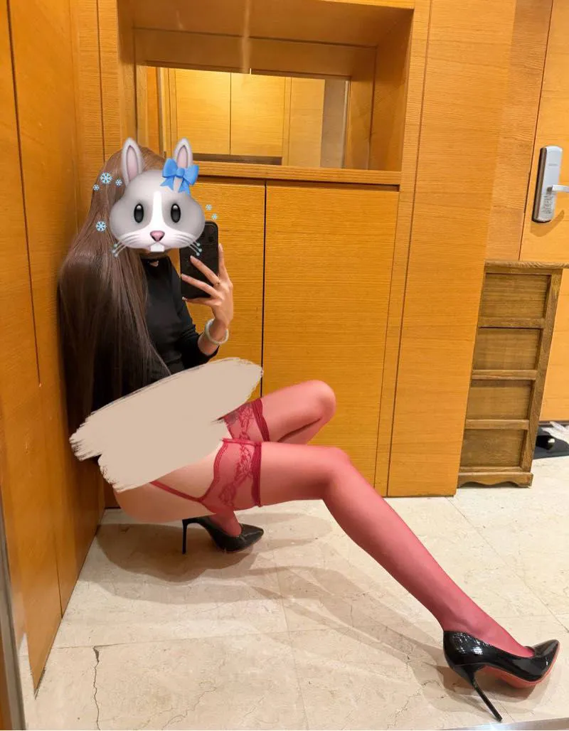 嘉定林可 Gallery 5