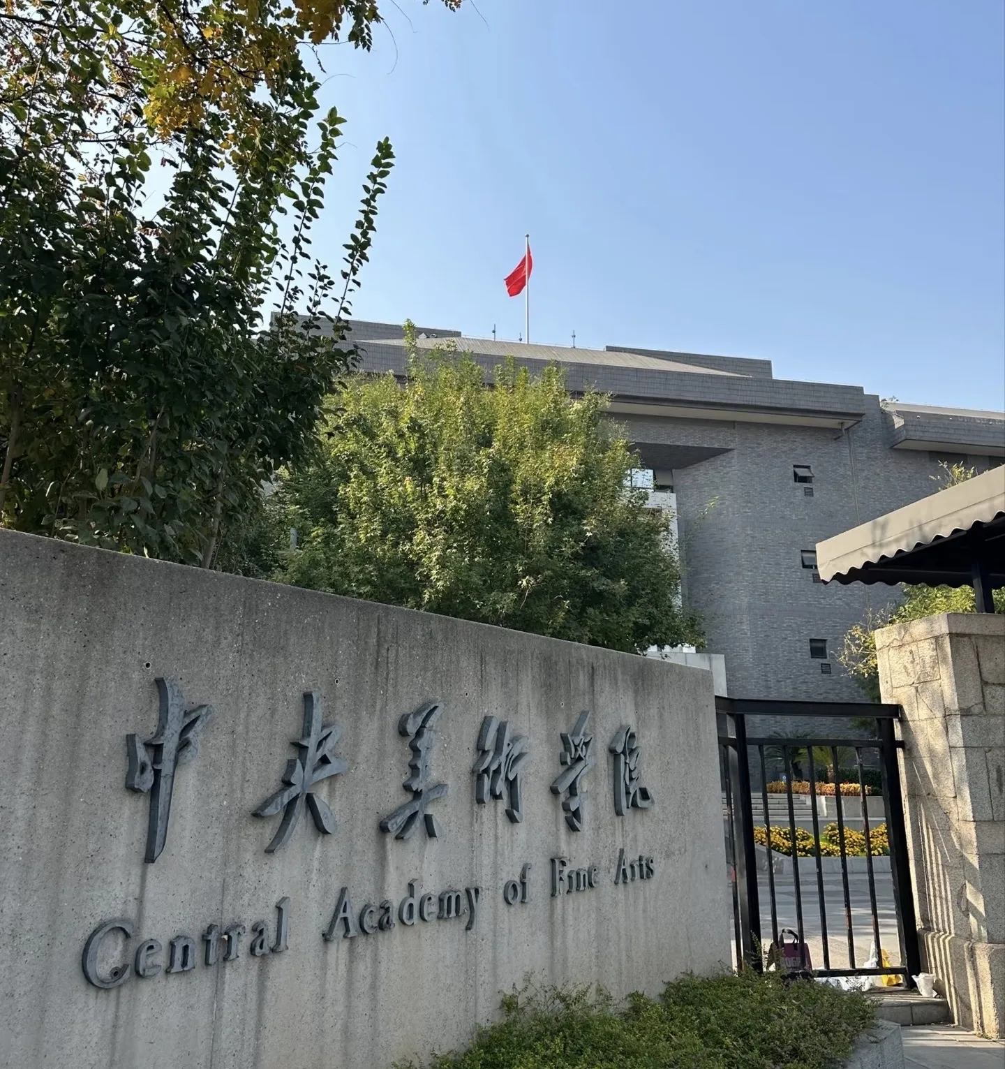 Y4802-宝宝 静安硬五高白醇中央美术学院学生 173D.07 Gallery 8