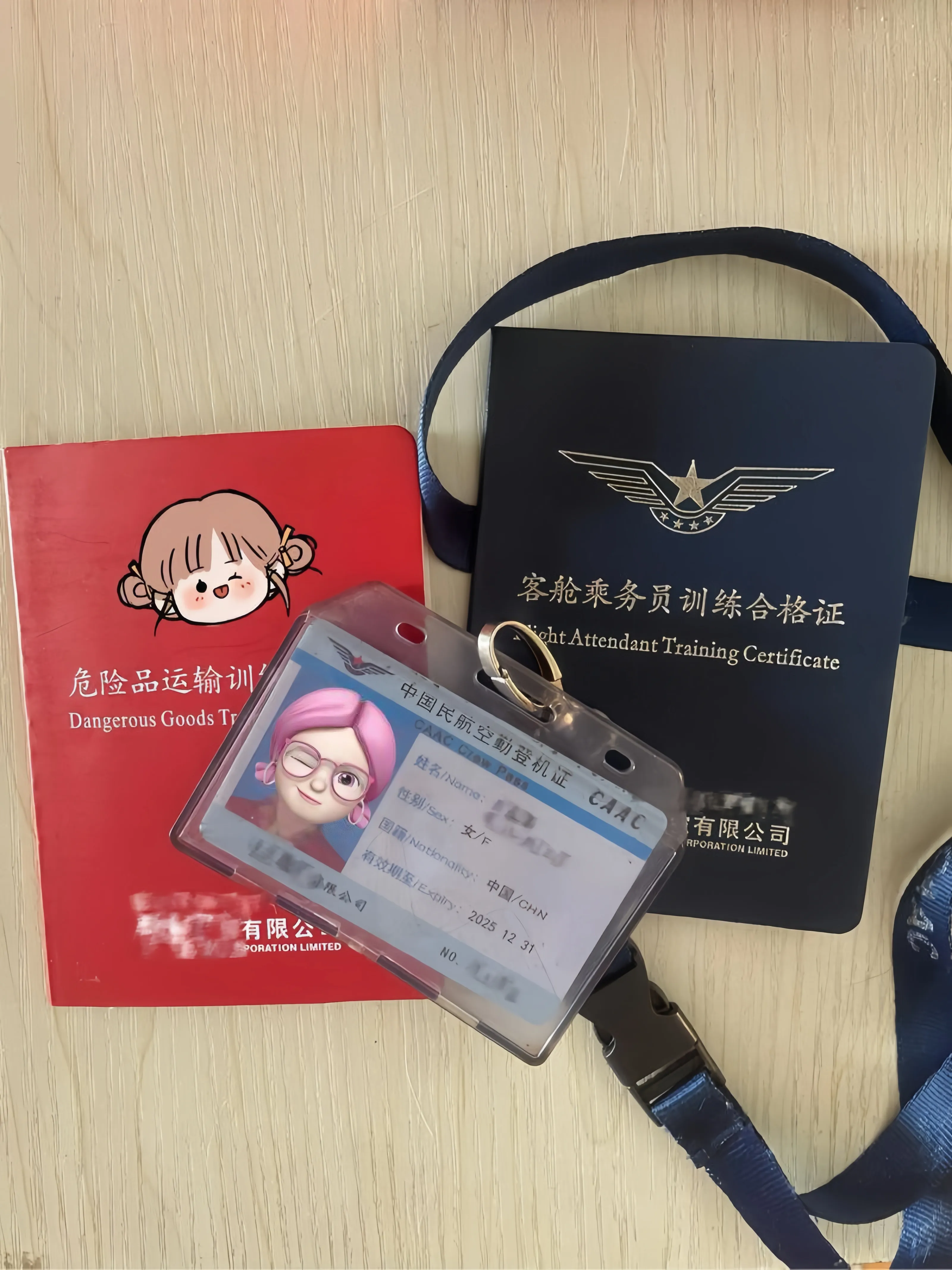 宝山周珍珍 真实空姐在飞 Gallery 4