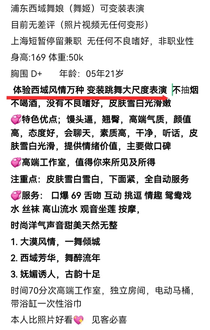 金桥西域舞娘 舞姬 可变装跳舞 Gallery 7