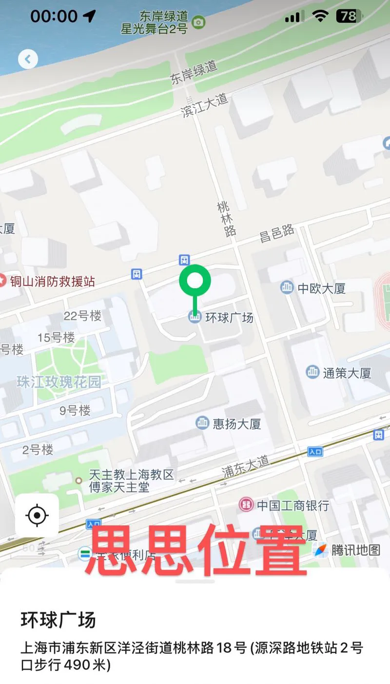 浦东陆家嘴🔥御姐思思 Gallery 7
