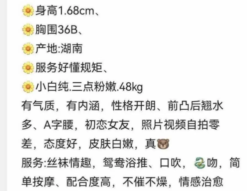 浦东06猫猫 Gallery 2