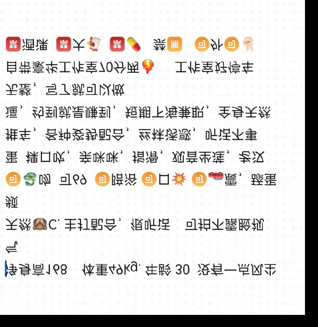 普陀开心 Gallery 4
