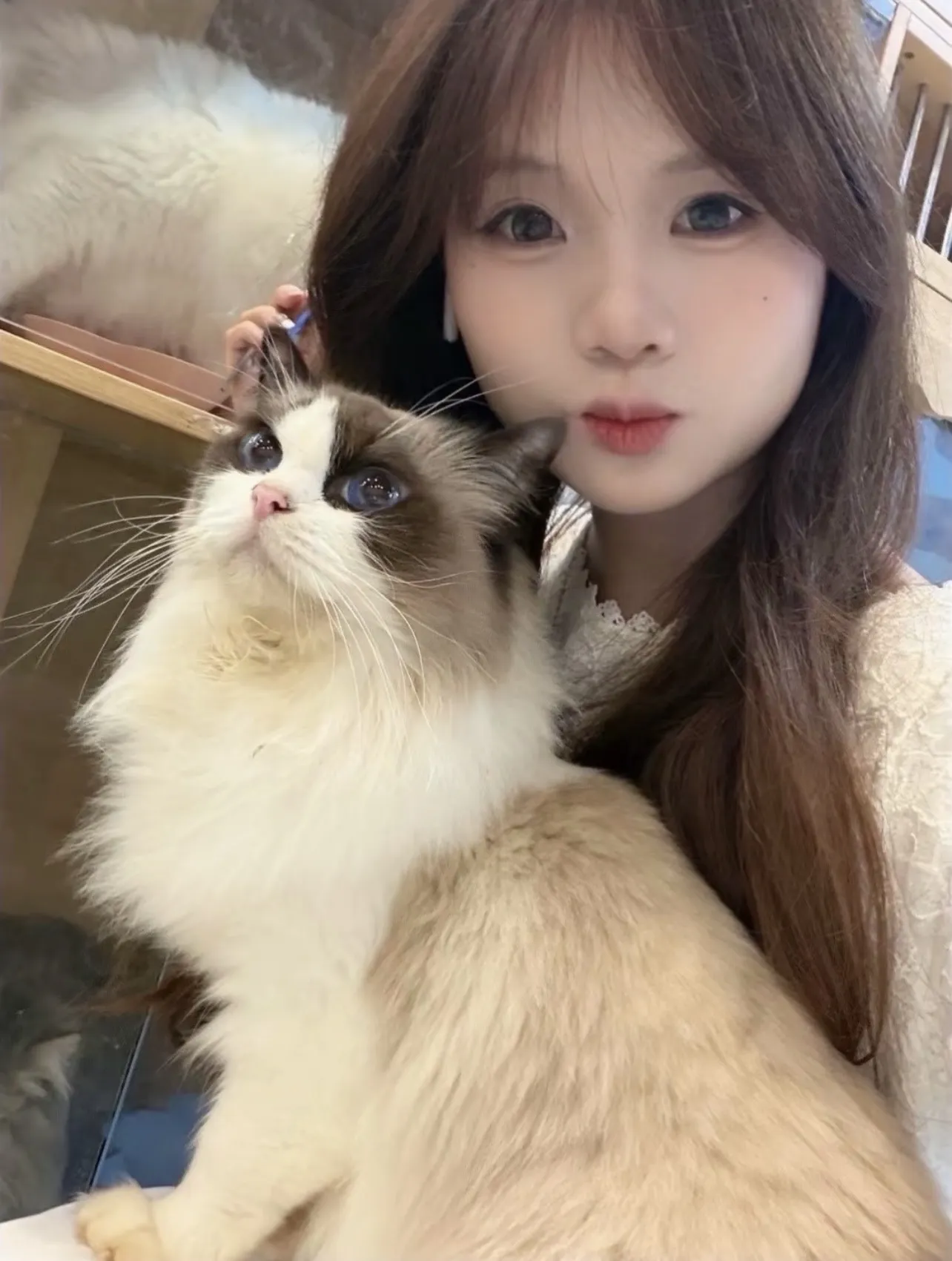 新人小白嘉祺 自带氛围感 Gallery 3