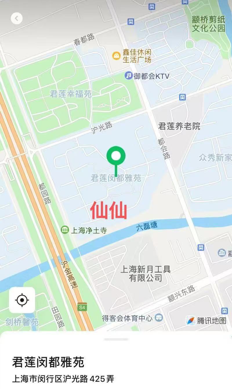 闵行全能仙仙 Gallery 5