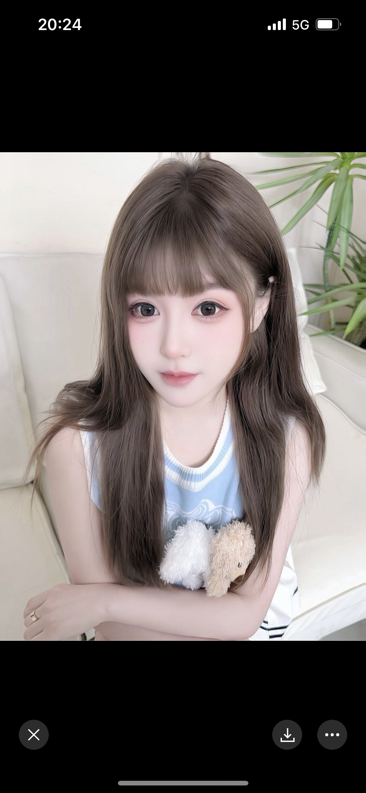 普陀静安，早早05 白虎 馒头