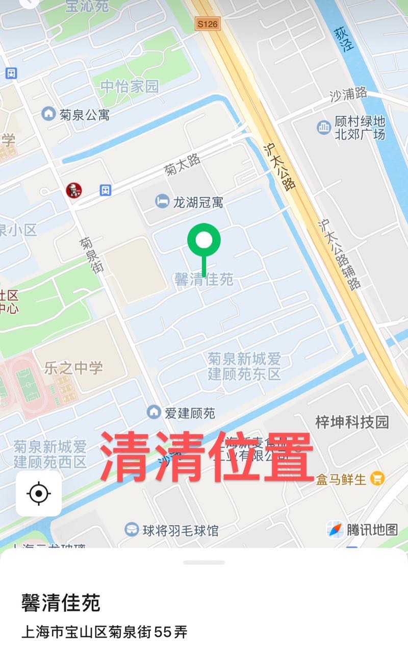 宝山顾村02小不点清清 Gallery 7