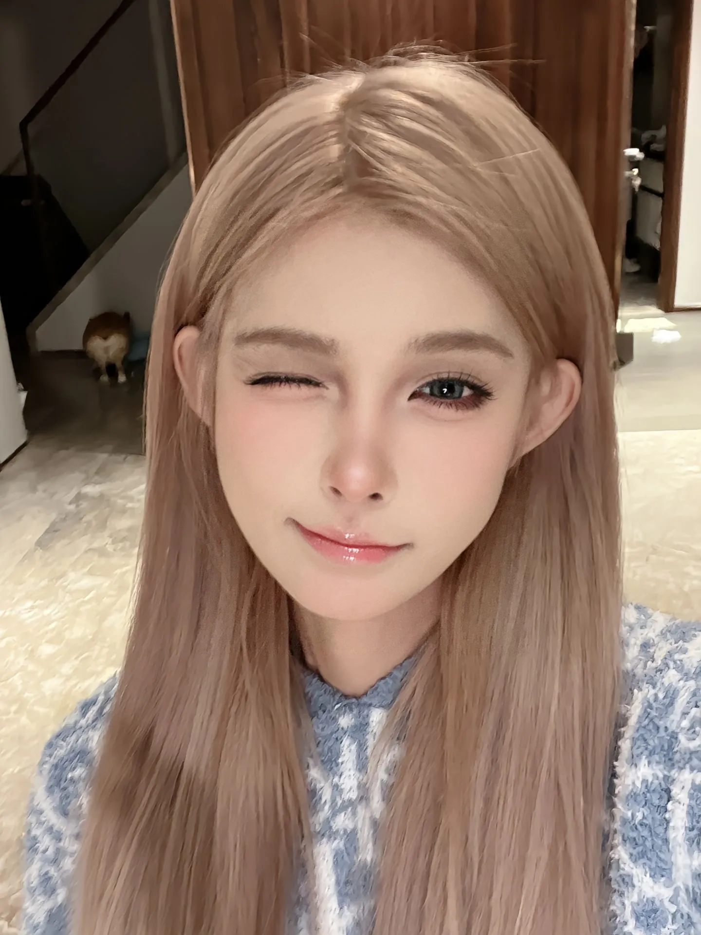 小猫，气质好粉嫩嫩猫咪乖巧听话 Gallery 5