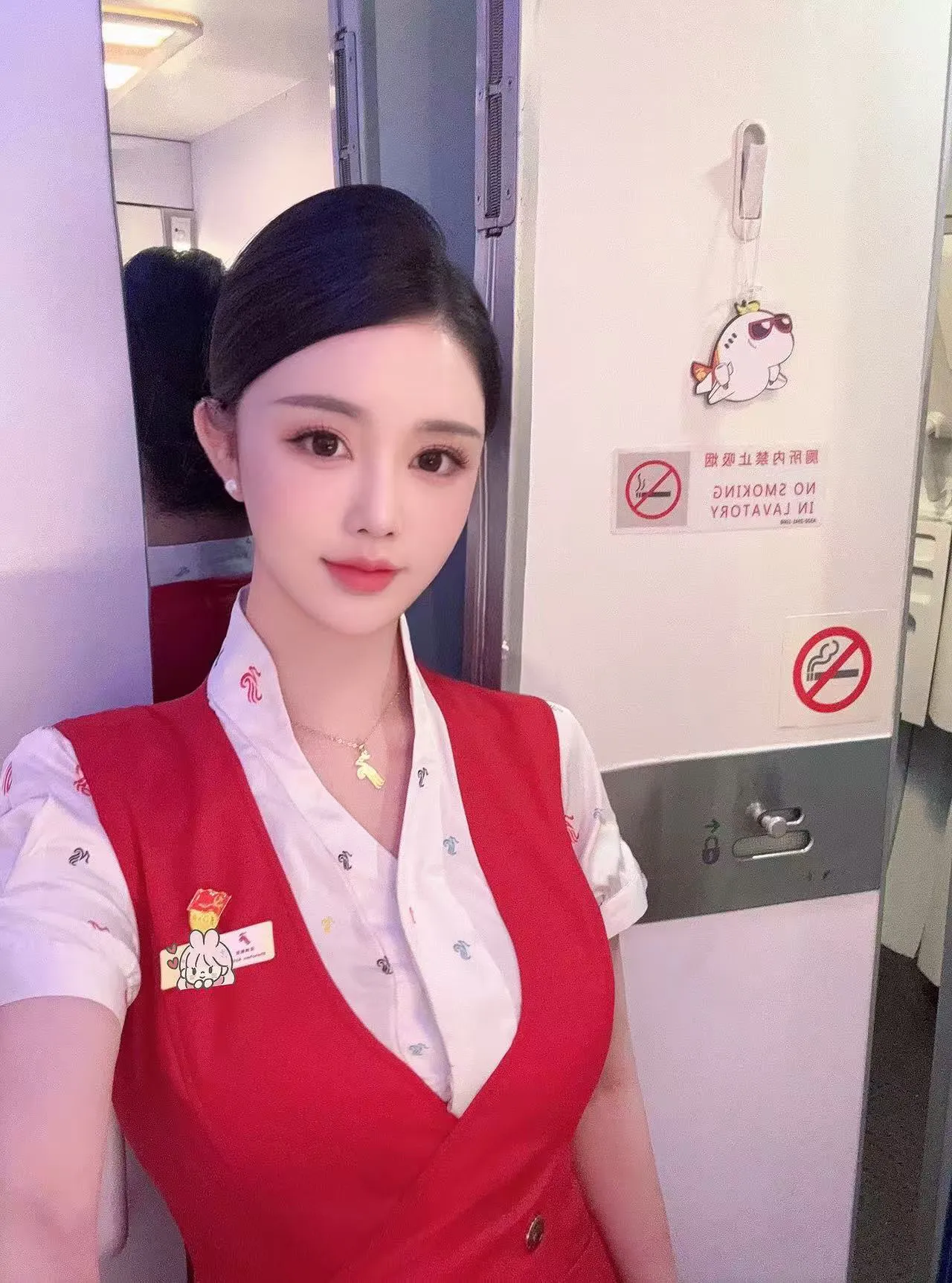 bb012 静安鹦鹉 173 深航空姐真实在飞 Gallery 2