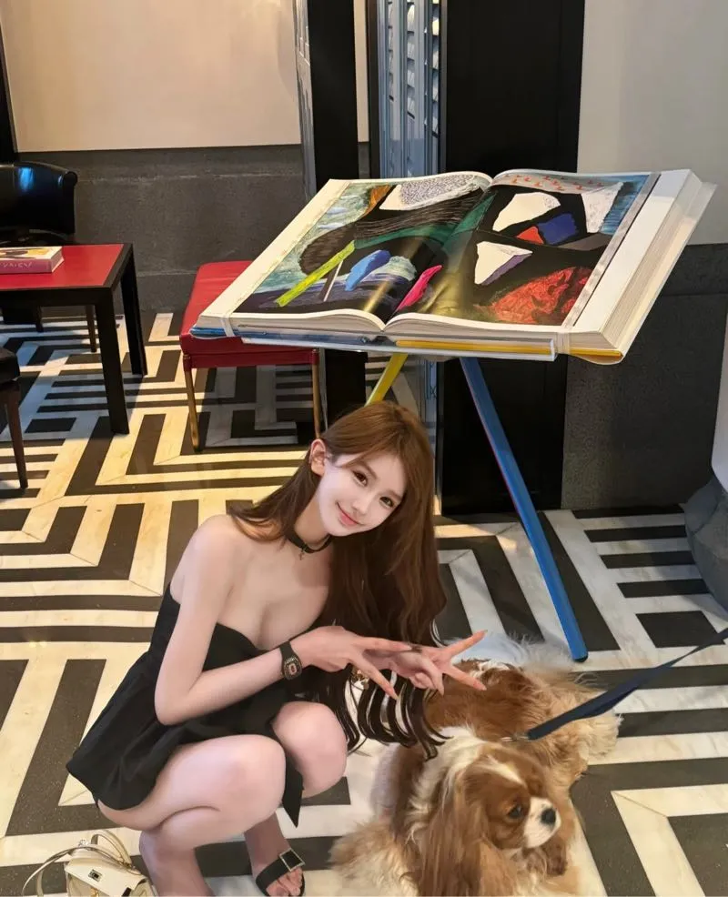 普陀鹦鹉 纯欲天花板 Gallery 5