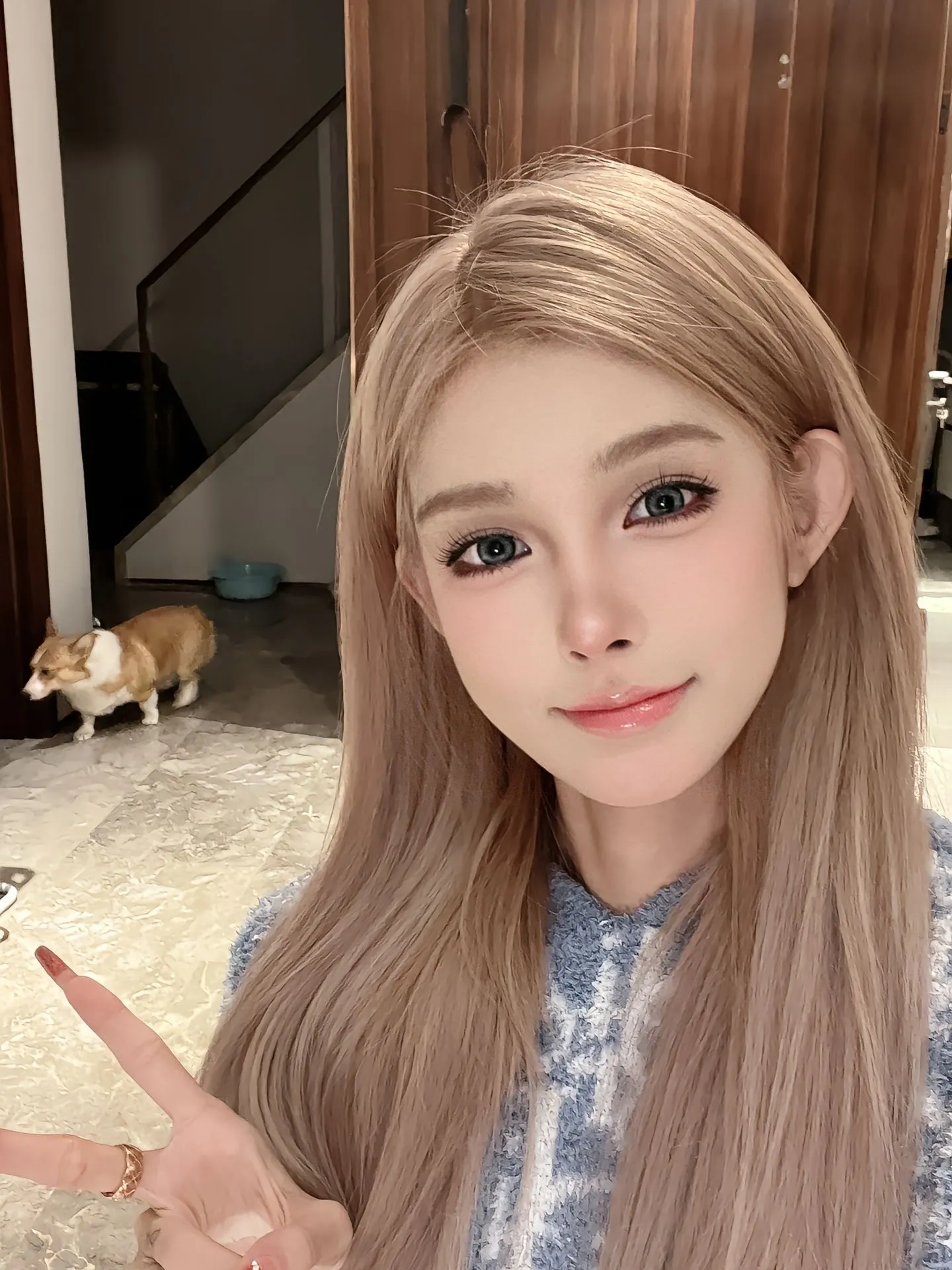 小猫，气质好粉嫩嫩猫咪乖巧听话 Gallery 3