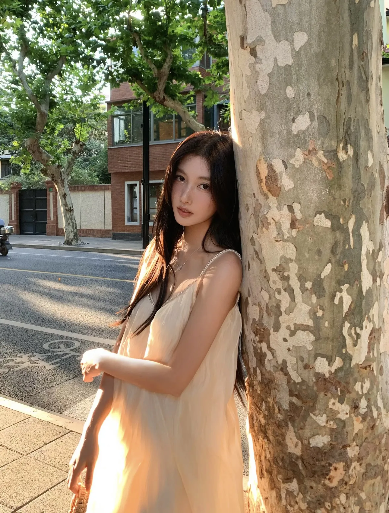 爆米花🍿 Gallery 4