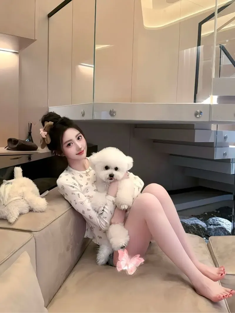 æ®é鿬¢ð 04 168Dæåæšè(åœå°å忬Ÿ) Gallery 2