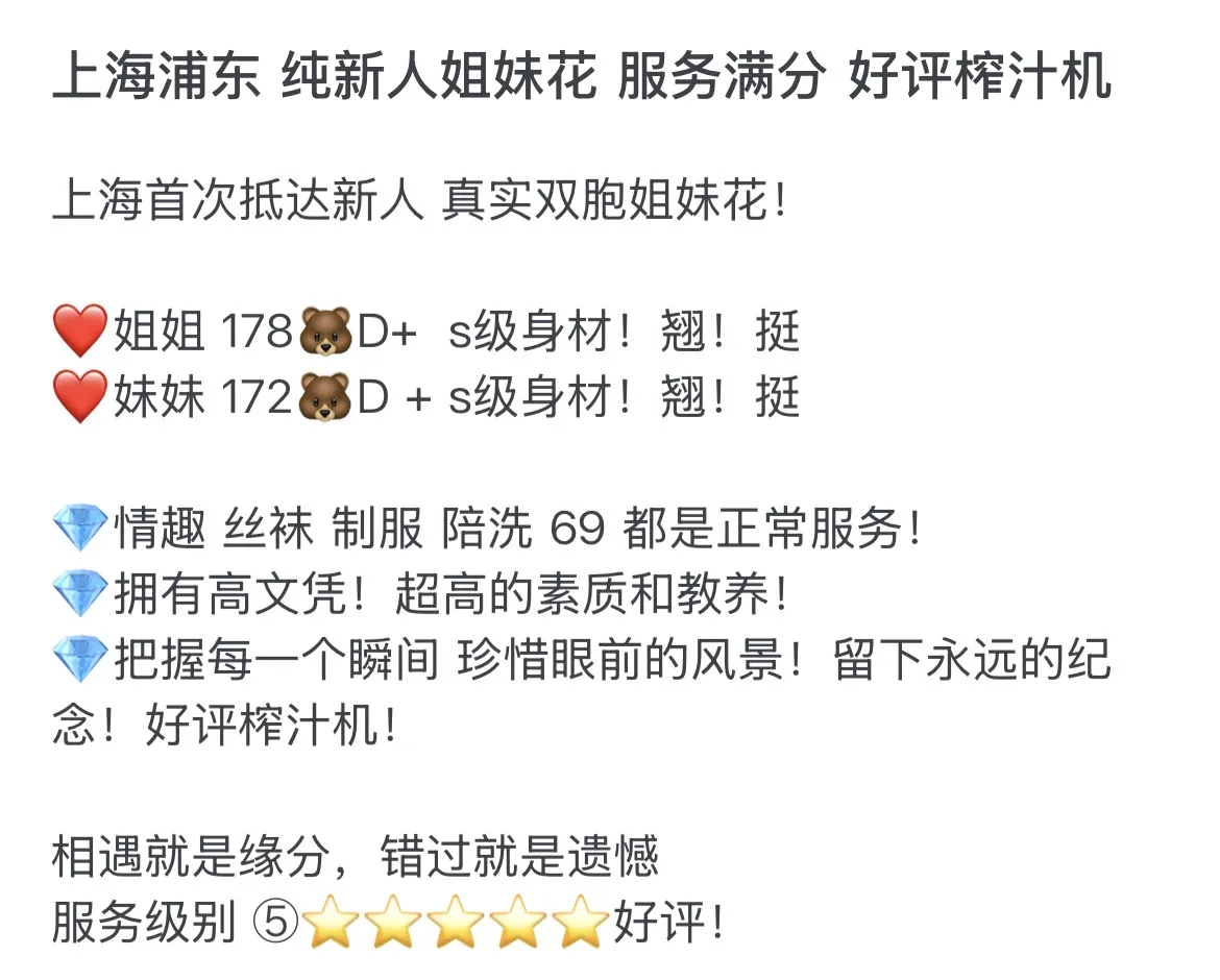 浦东姐妹花好评榨汁机 Gallery 1