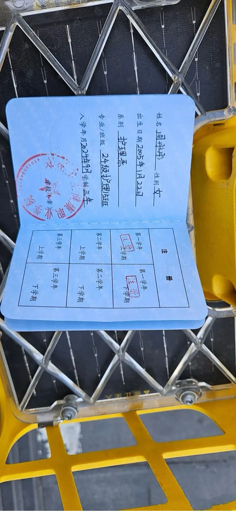 邻家小妹 Gallery 2