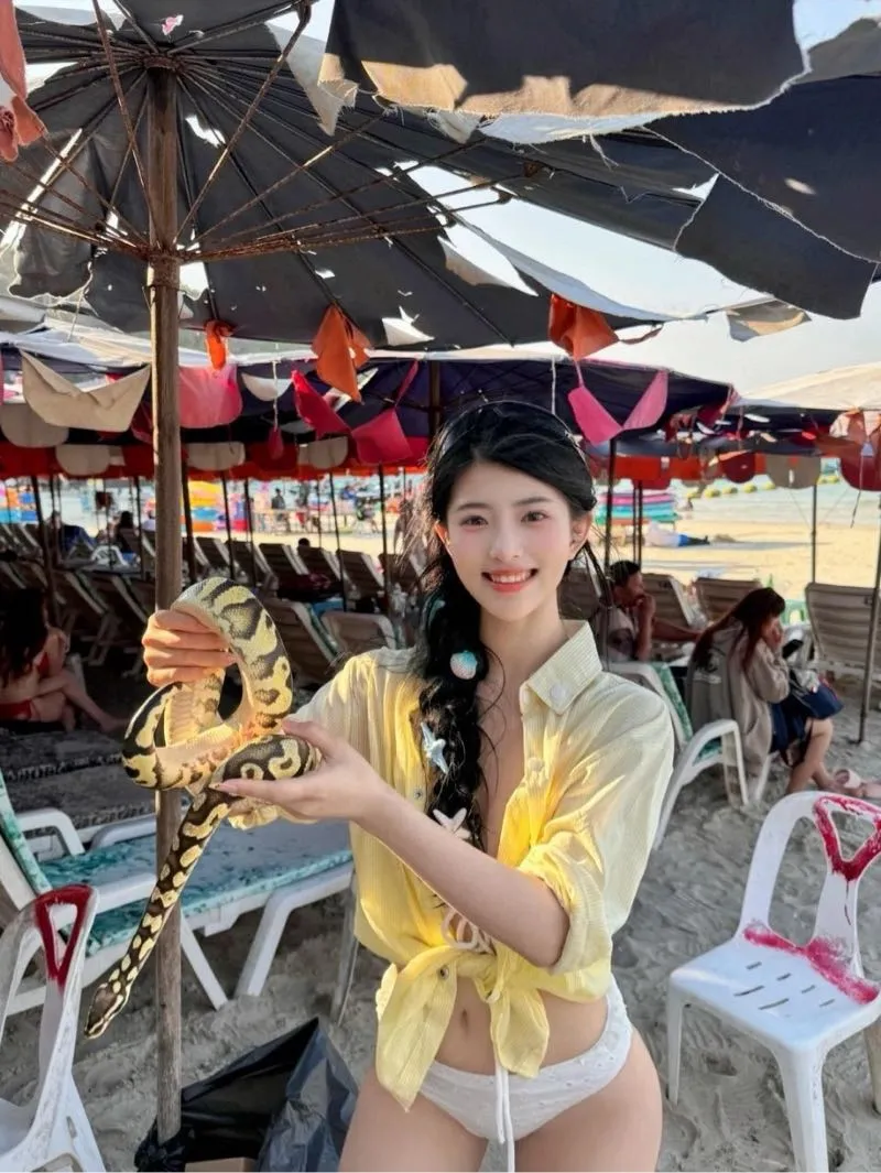 上海台湾新人假期兼职 鹦鹉 Gallery 2