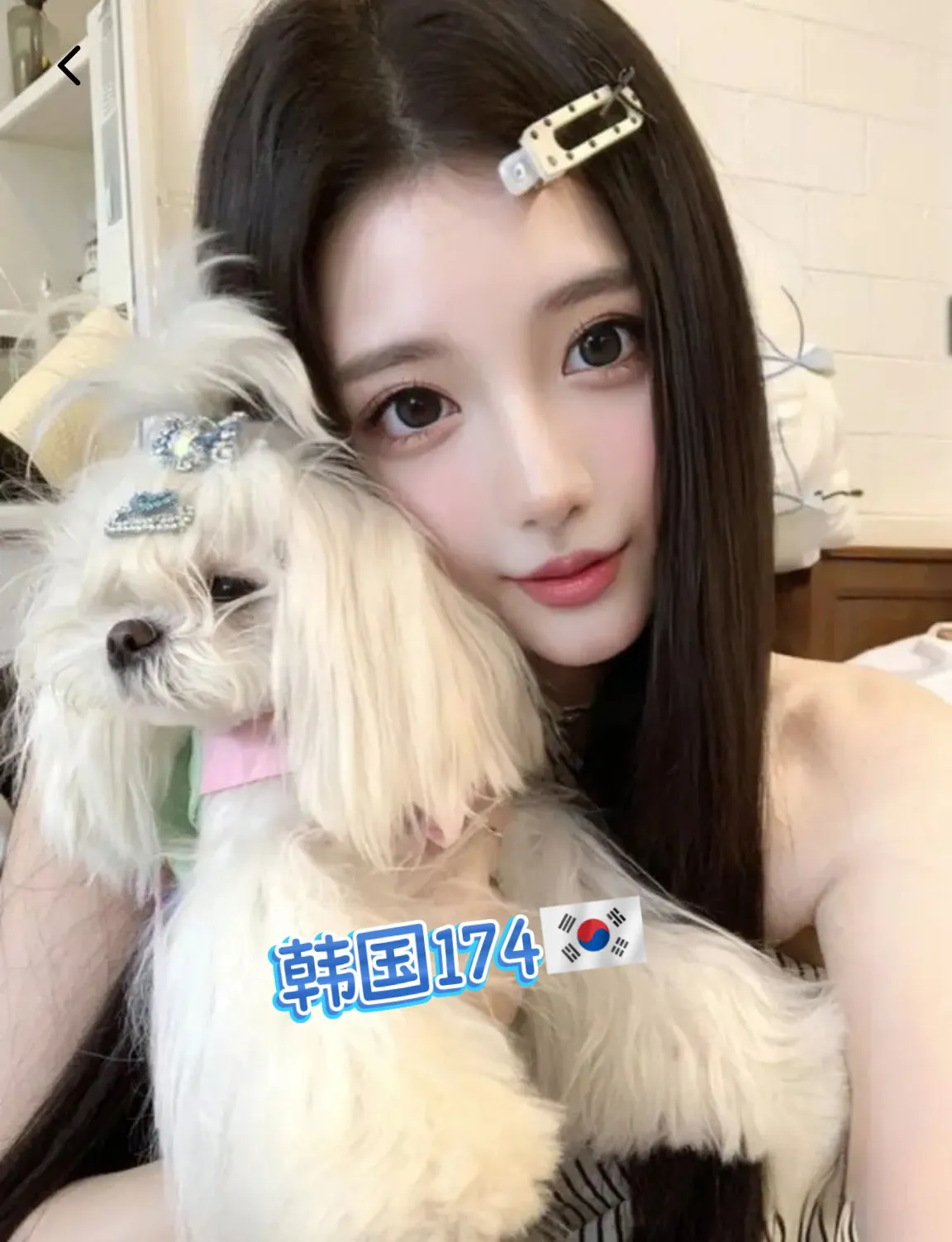 y224韩国洋酒 Gallery 2