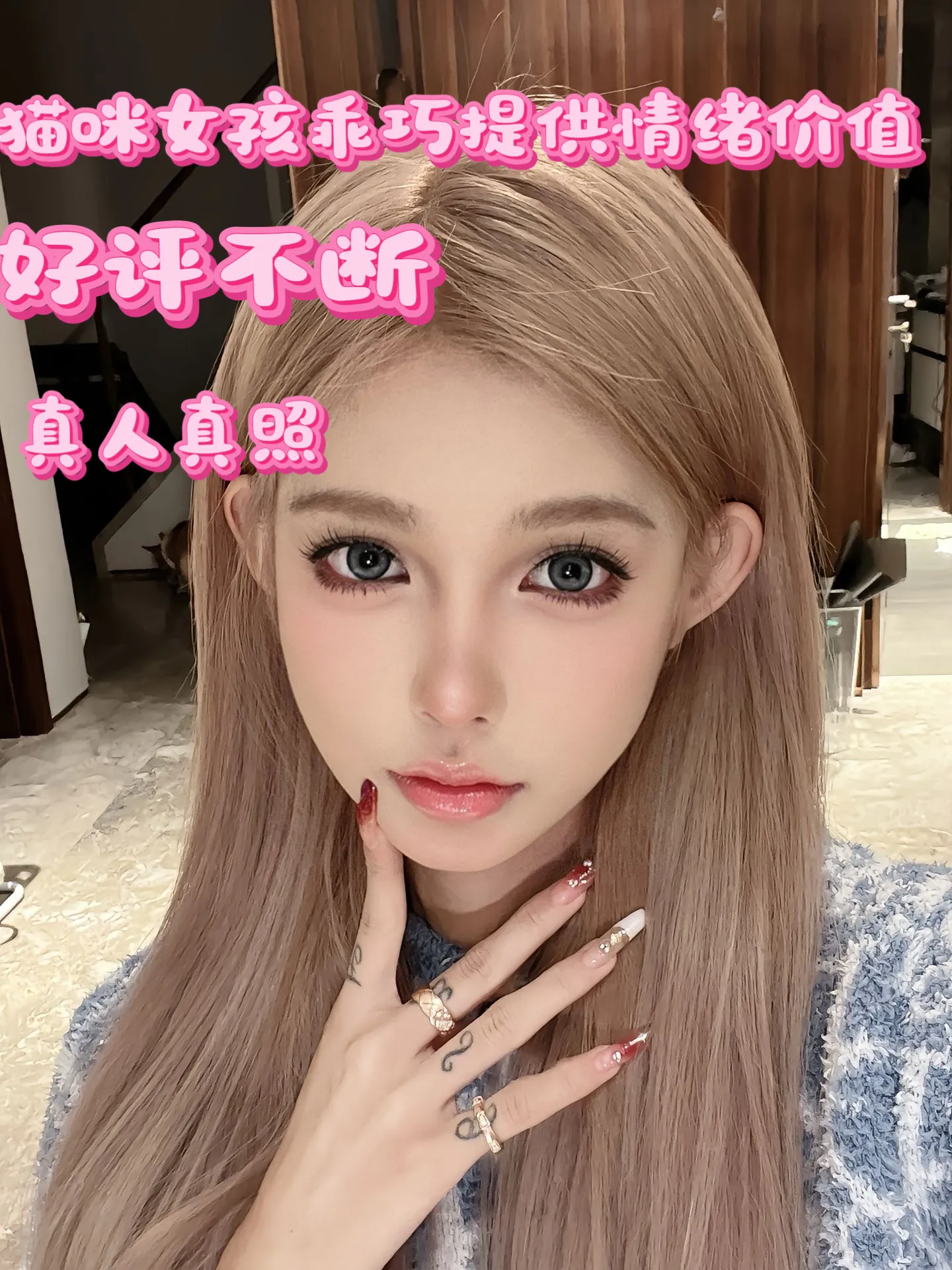 小猫，气质好粉嫩嫩猫咪乖巧听话