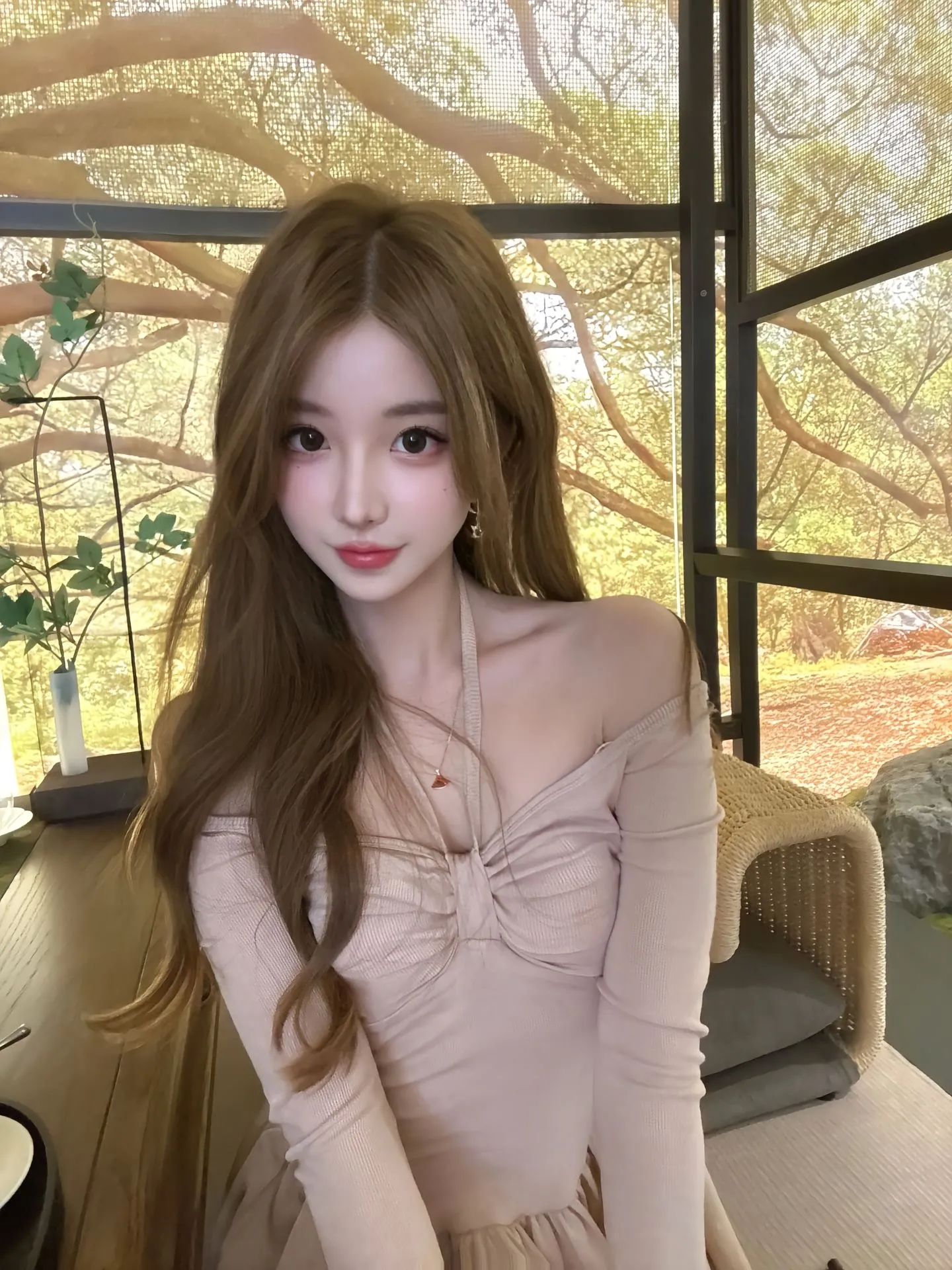 阳光玫瑰 Gallery 2