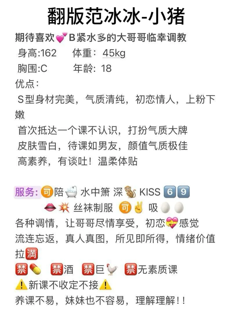 翻版范冰冰情绪价值天花板 小猪 Gallery 1