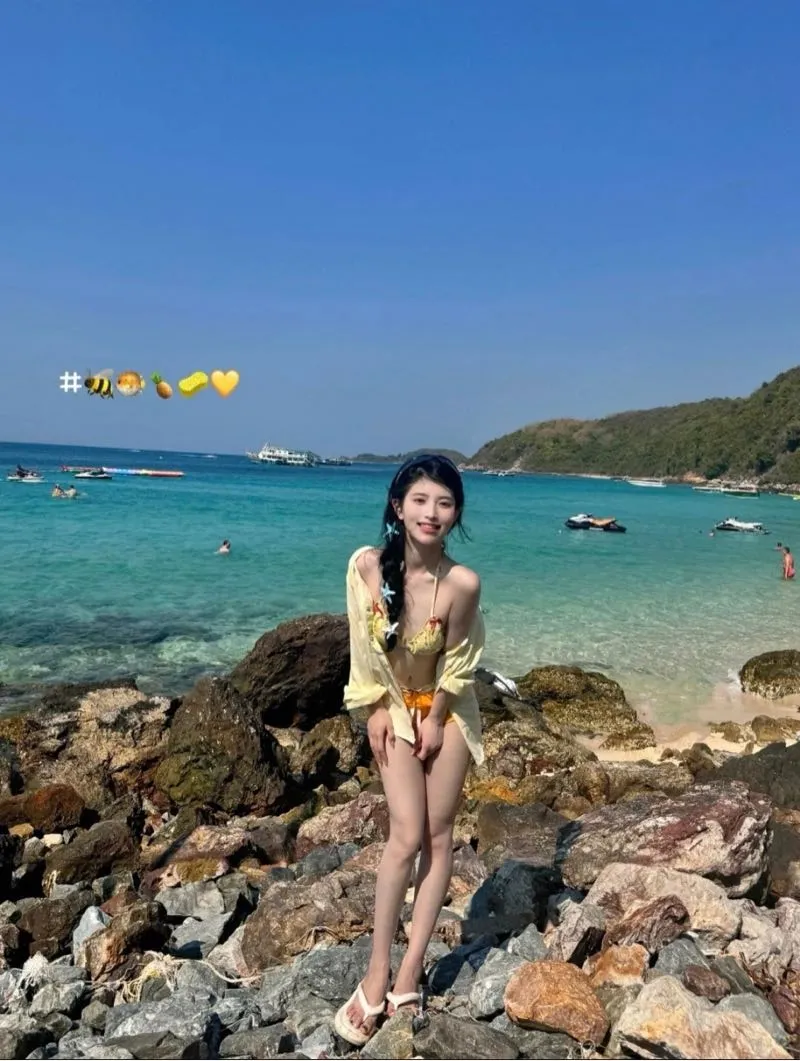 上海台湾新人假期兼职 鹦鹉 Gallery 3