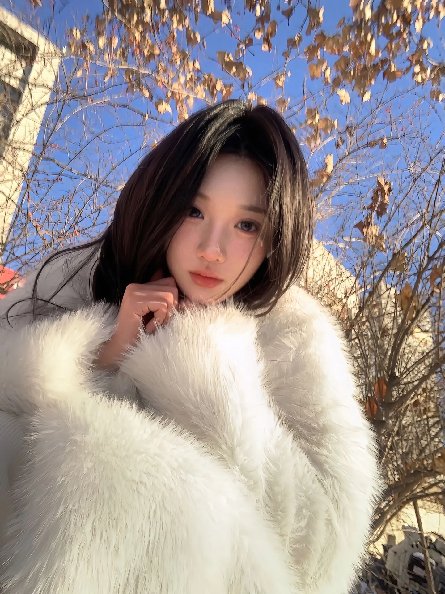 浦东 昭昭 Gallery 4