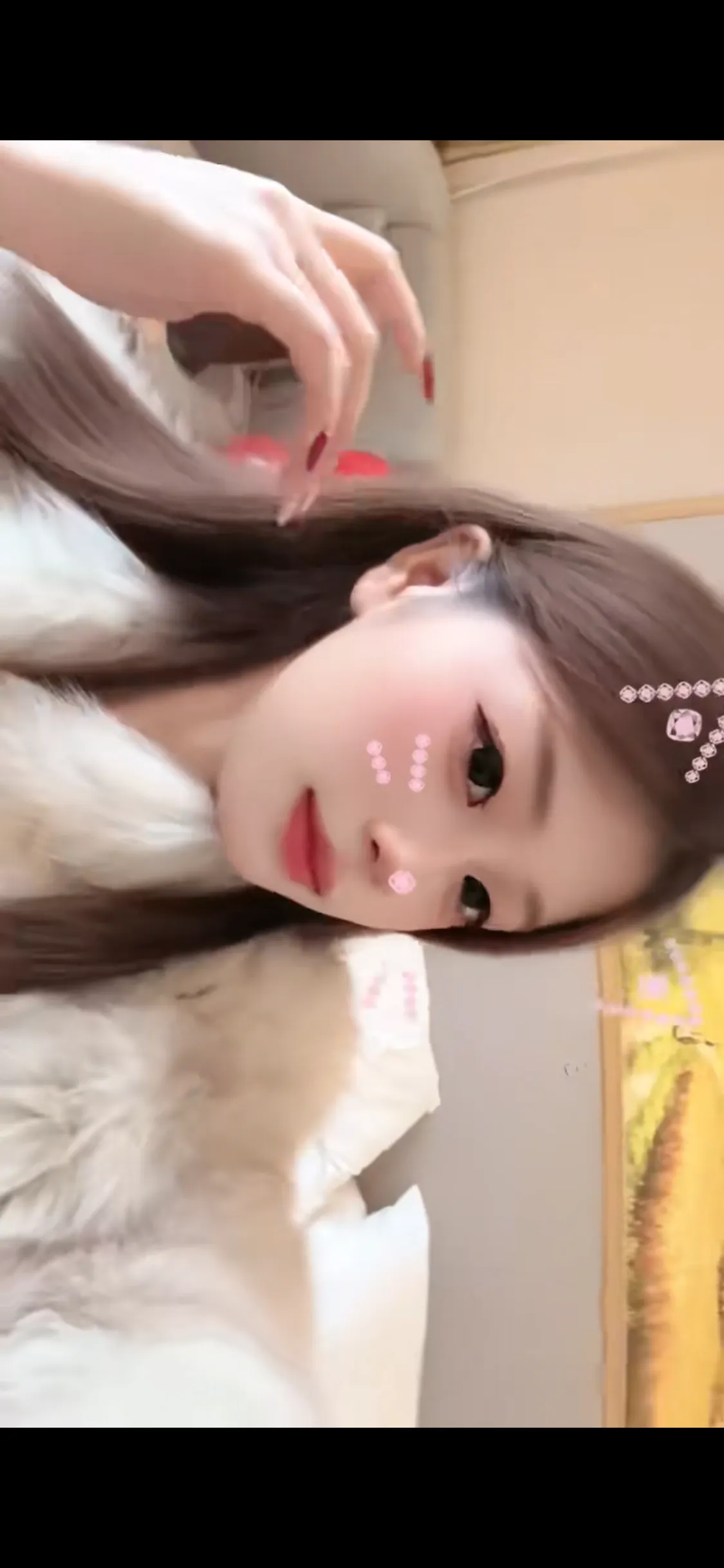 宝山乖宝 Gallery 4