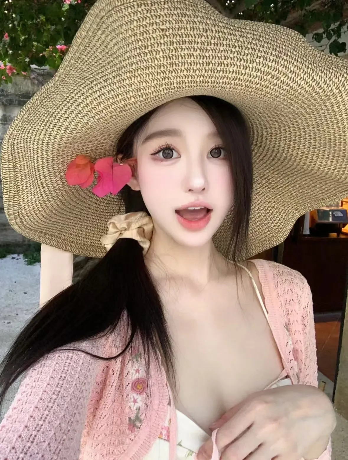 上海闪闪，鹦鹉