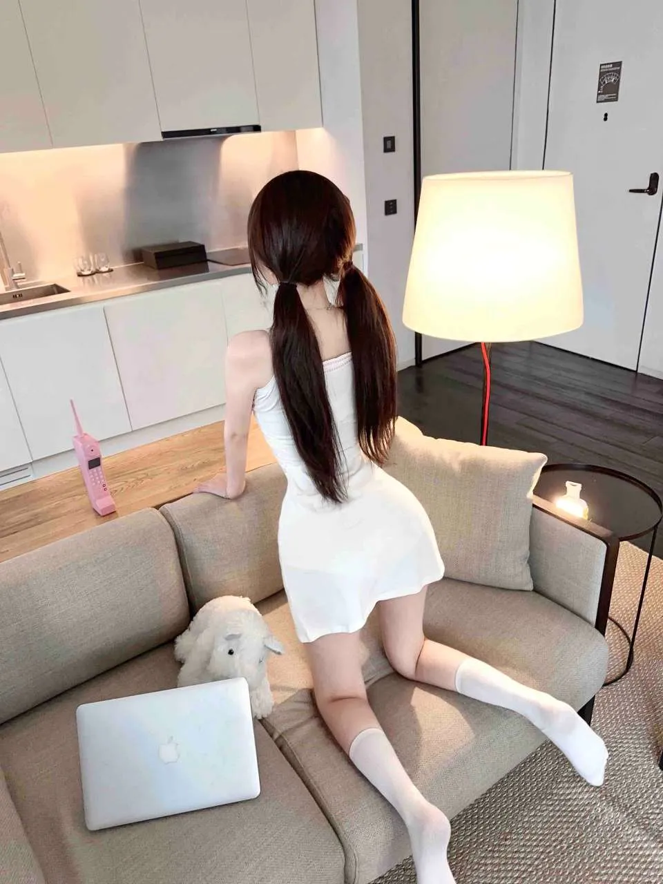 普陀猫猫 Gallery 3