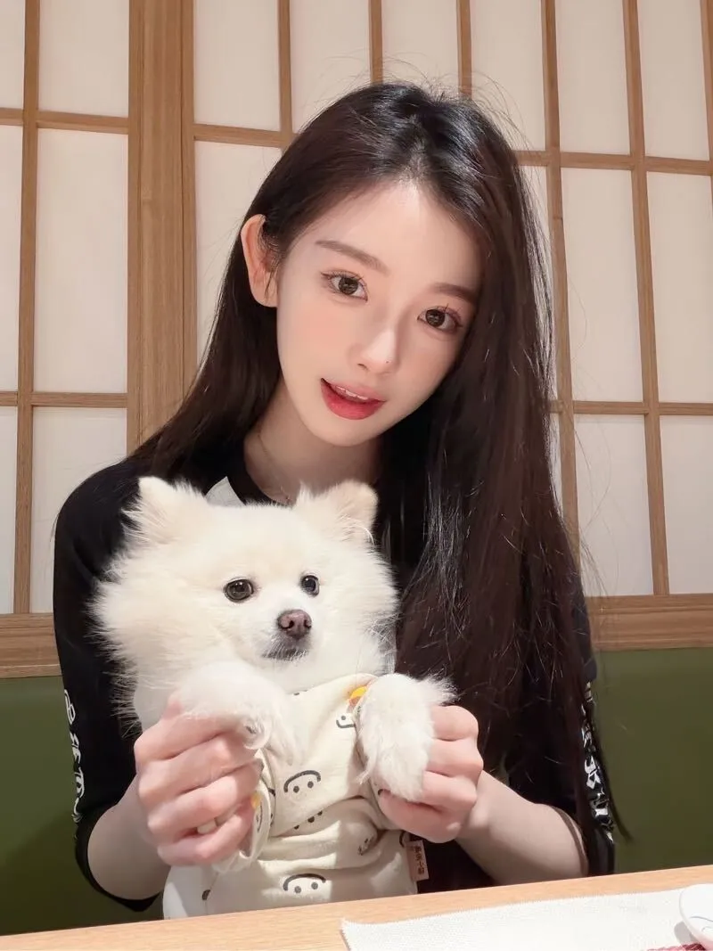 宝山新人首开 玉溪 Gallery 1