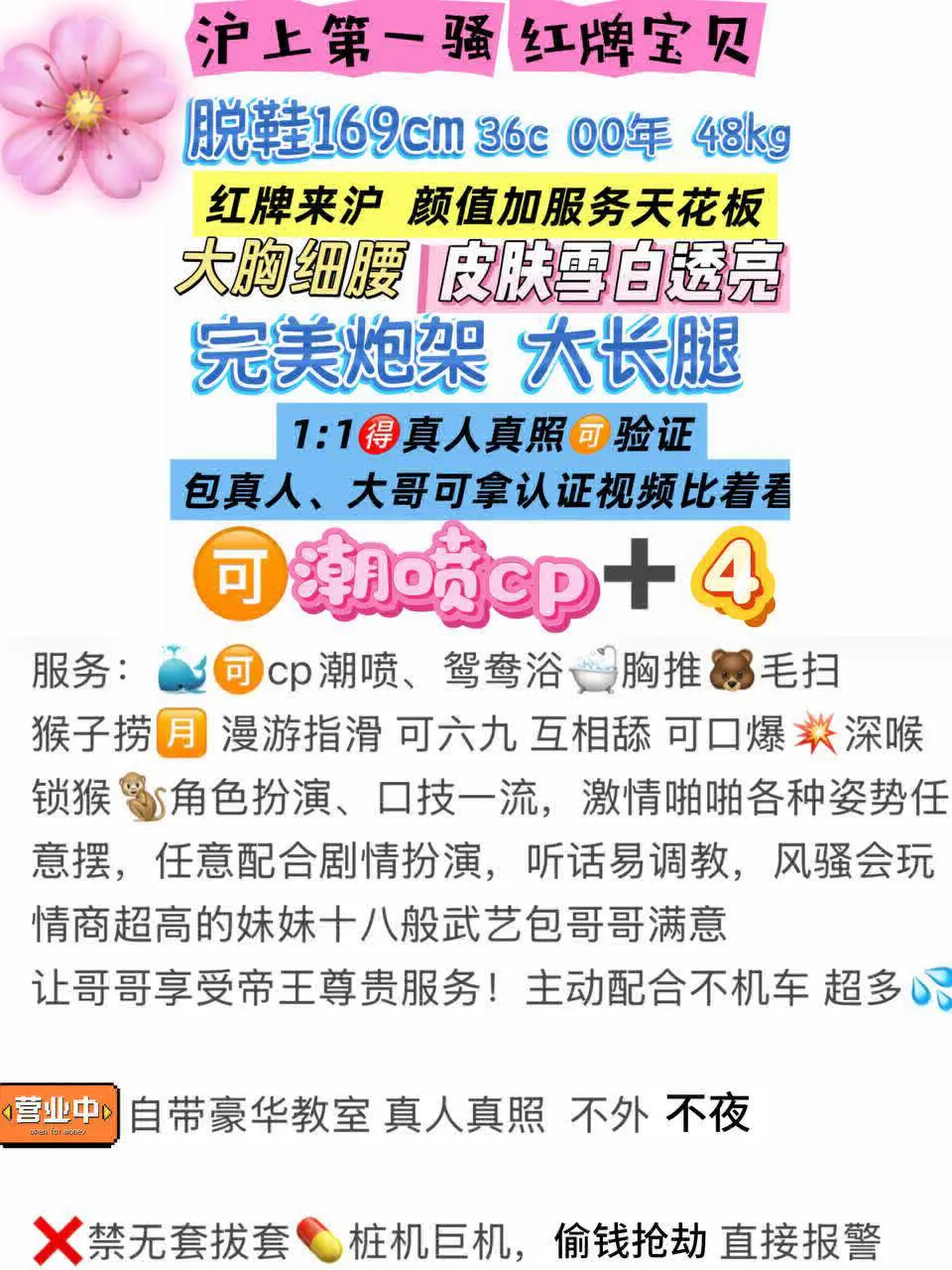 普陀-宝贝 Gallery 2