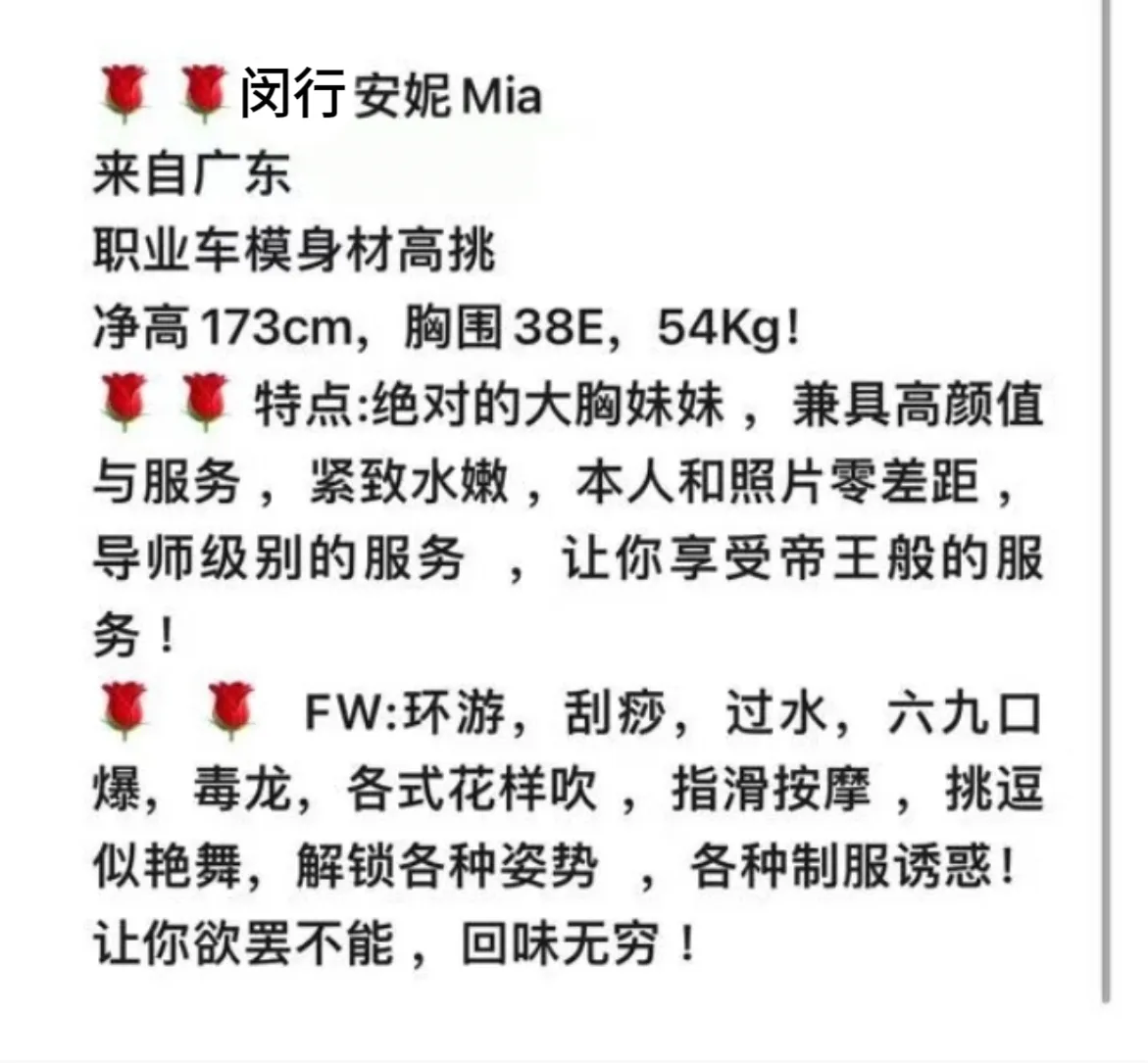 安妮（极品职业车模） Gallery 1