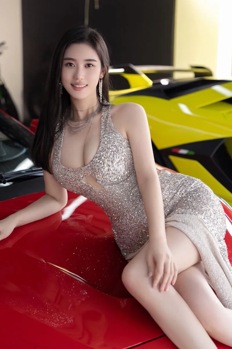 浦东法拉利车模 薇妮安 Gallery 1