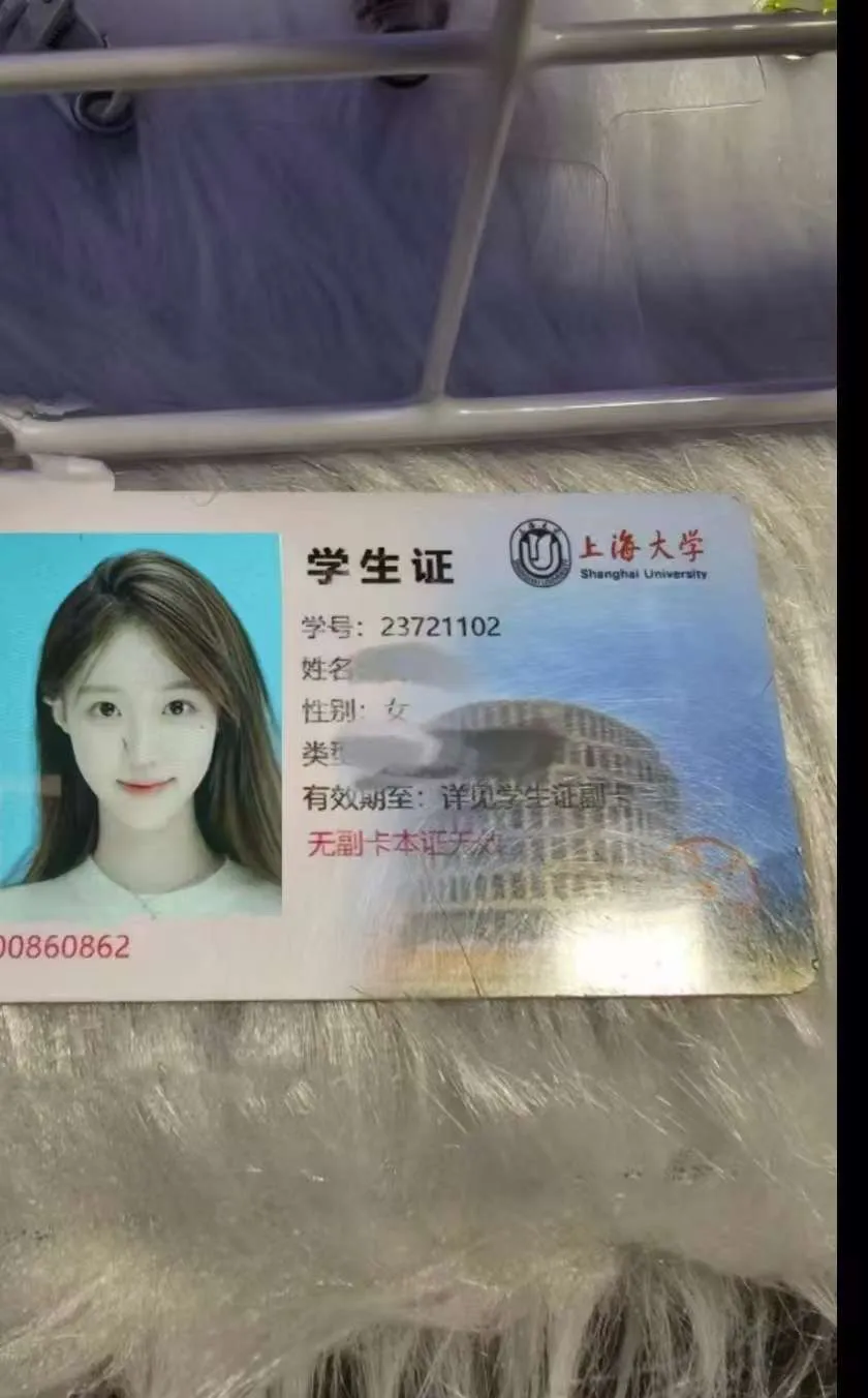 y300兼职 Gallery 3