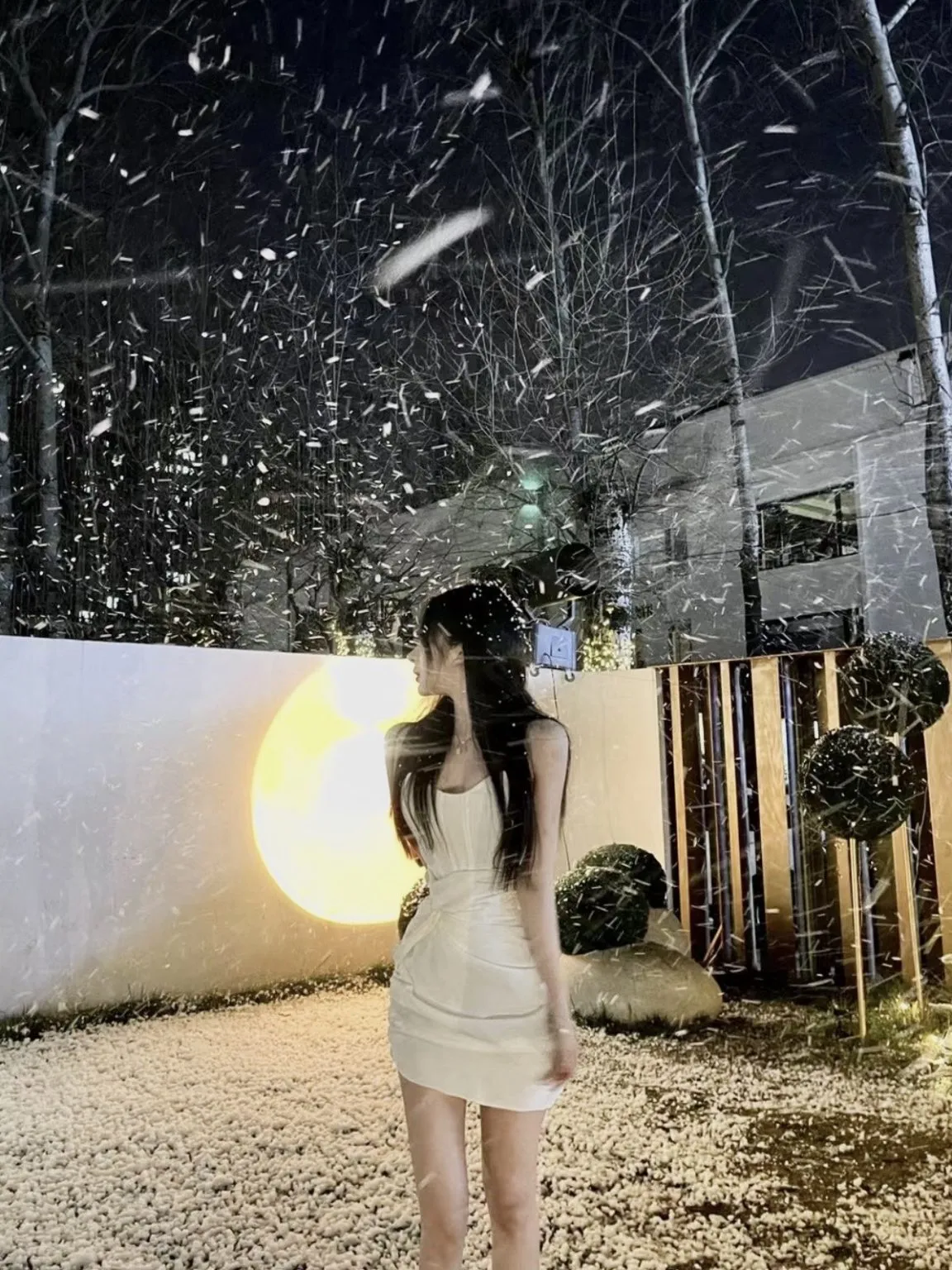 Y4755-05 徐汇白虎纯欲天花🉑SM+💰 畫廊 2