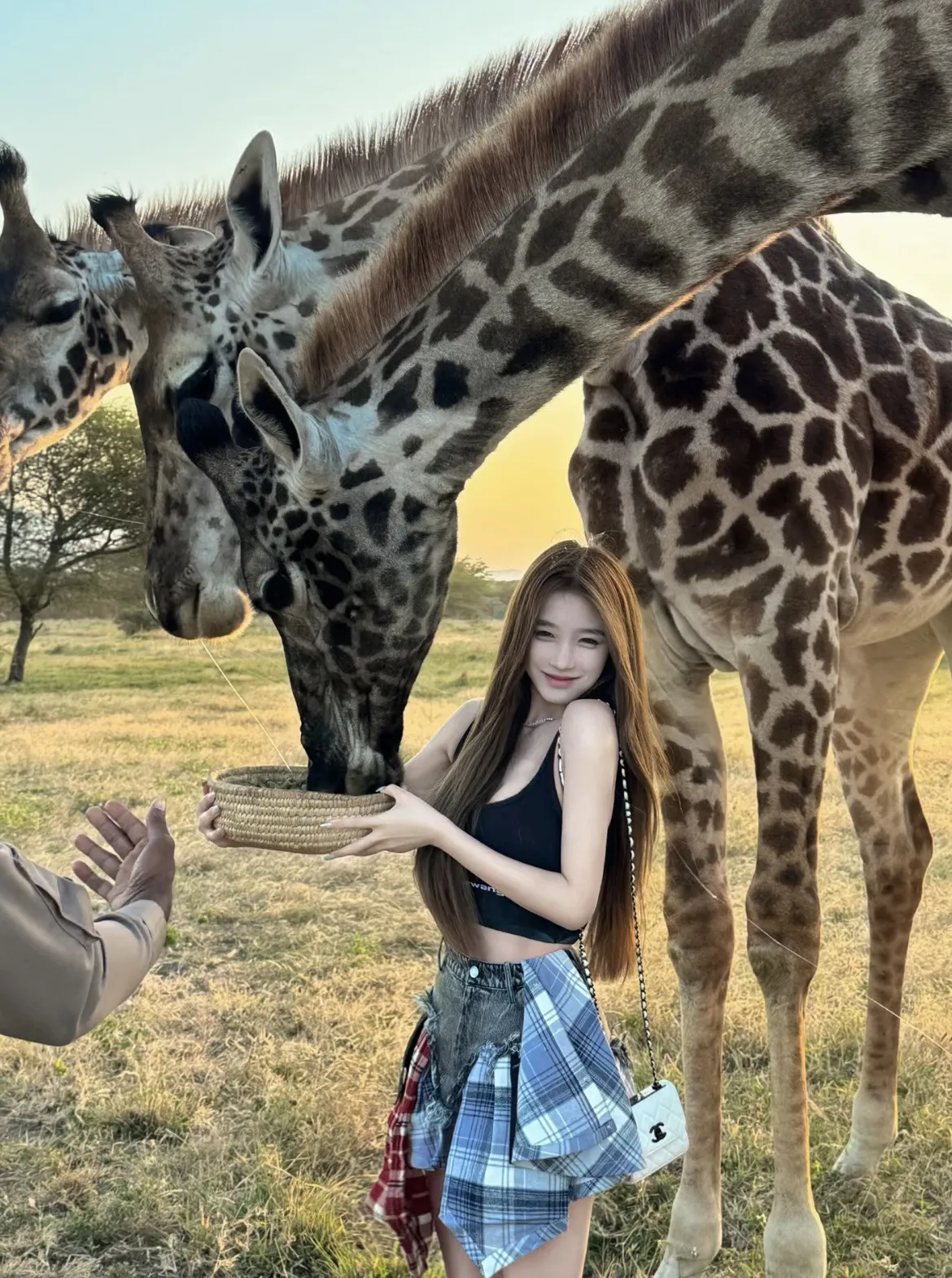 a494🦜学生白小纯