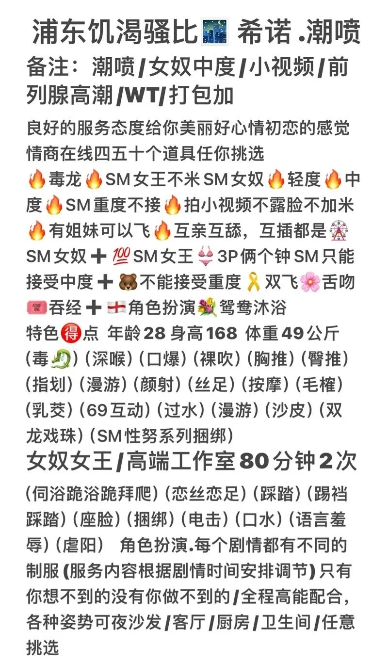 浦东极品A8/希诺WT/SM Gallery 2