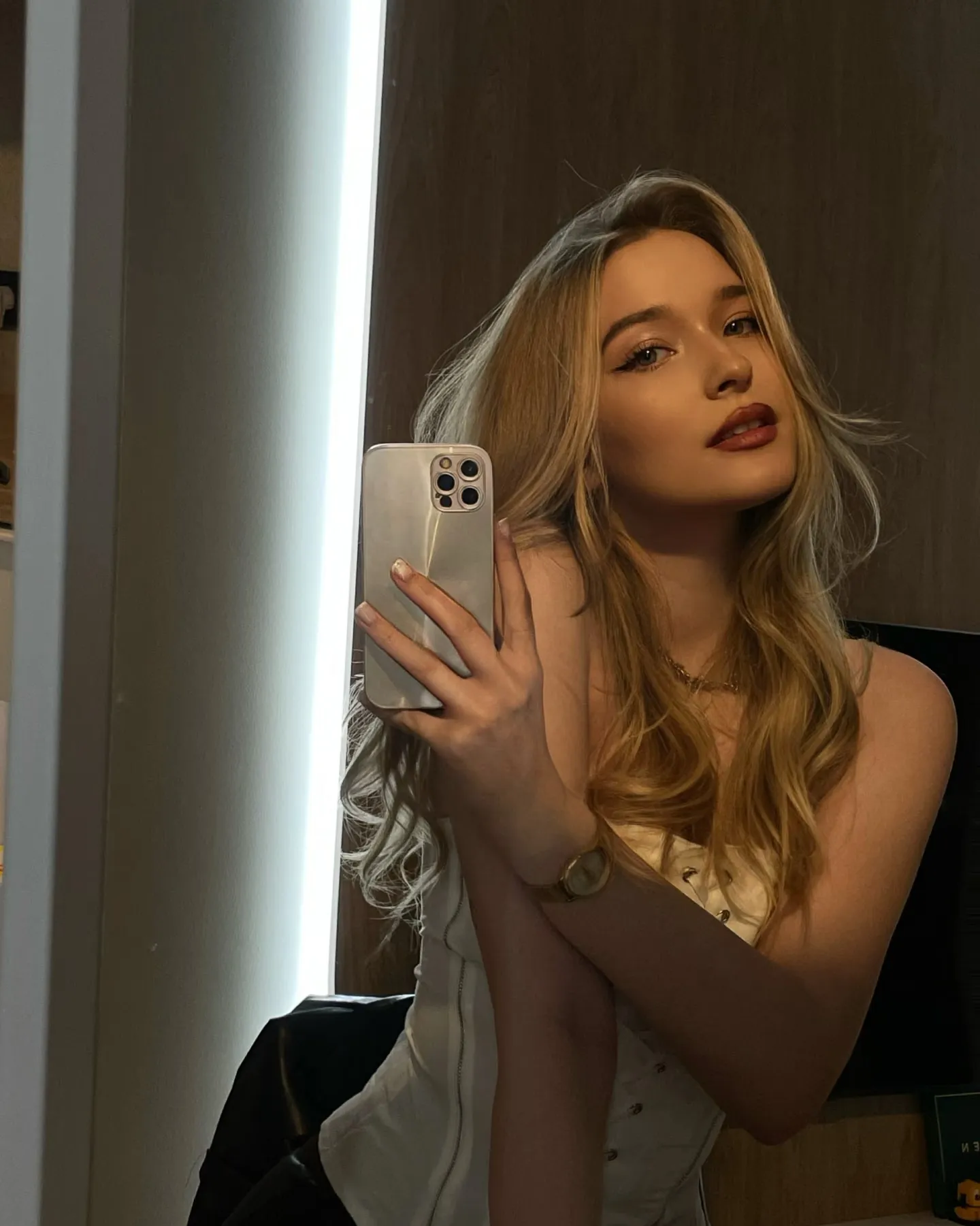 俄罗斯🇷🇺洋酒【维也娜】