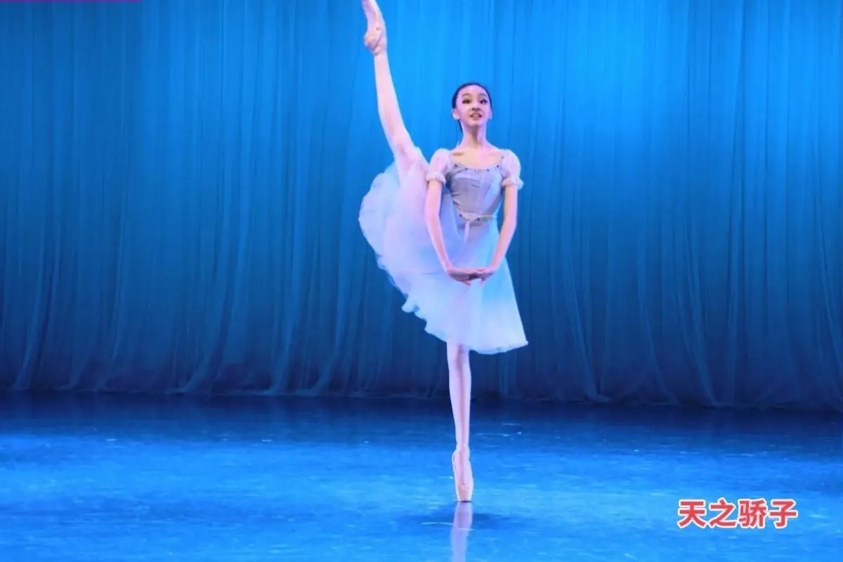 y456🦜国际芭蕾舞一字马 Gallery 5