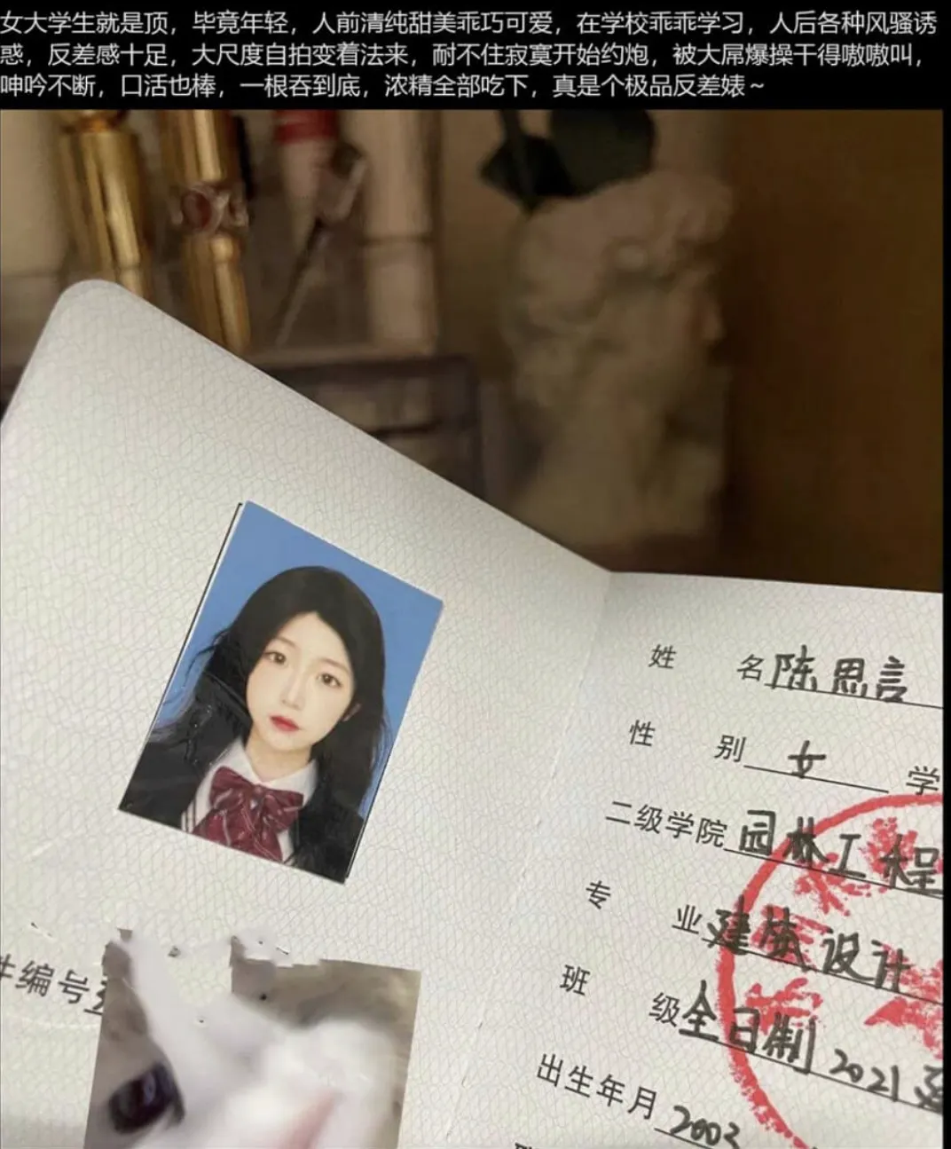 曦儿 温柔可爱床上淫荡BB水多耐艹 Gallery 4