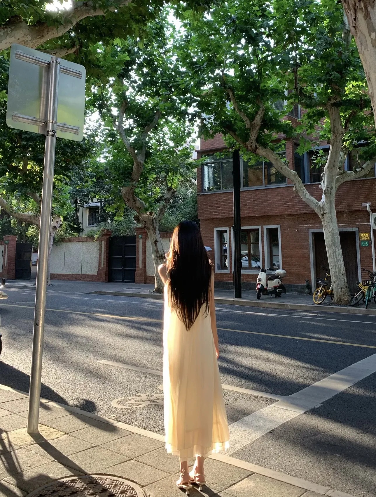 爆米花🍿 Gallery 6