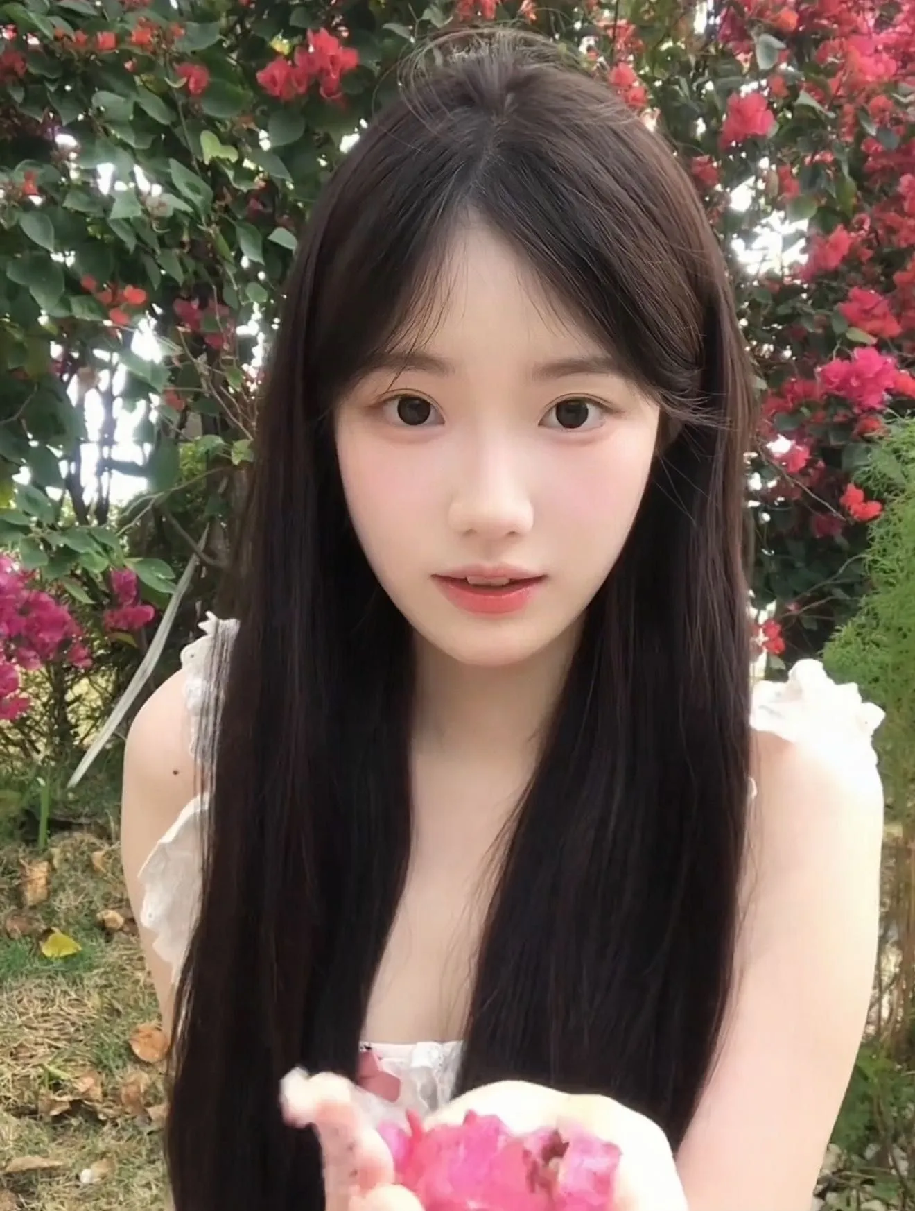 嘉定;晴晴